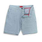 The Breakwater Stripe Sport Short