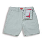 BM1075 Breakwater Sport Short 8" inseam Flat front open image color, stripe agave